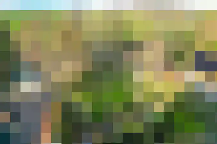 Zuideruitweg 30 Wijdenes thumbnail 31