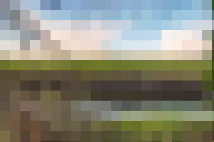 Zuideruitweg 30 Wijdenes thumbnail 32