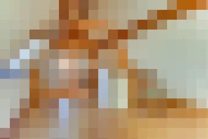 Zuideruitweg 30 Wijdenes thumbnail 34