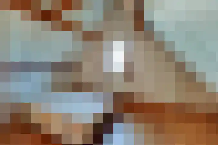 Zuideruitweg 30 Wijdenes thumbnail 37