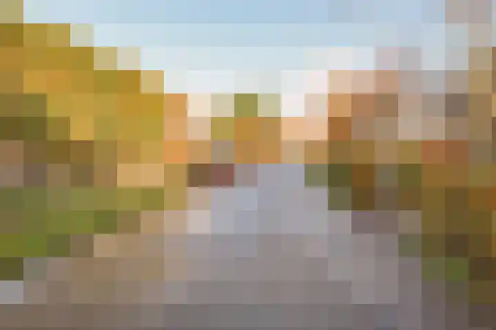 Zuideruitweg 30 Wijdenes thumbnail 46