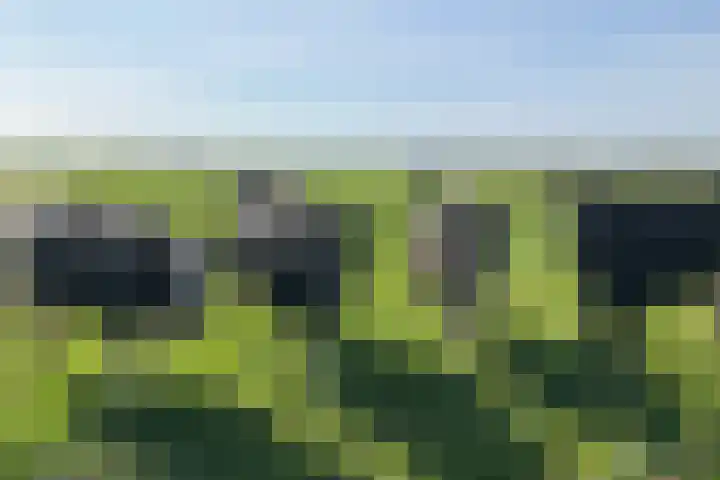Zuideruitweg 30 Wijdenes thumbnail 47