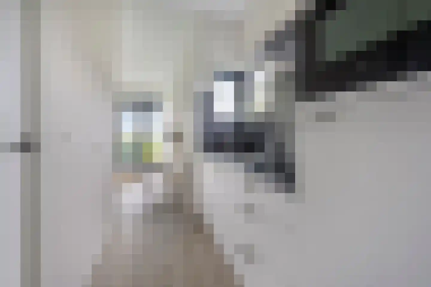 Zuideruitweg 68 sp33 Wijdenes thumbnail 13