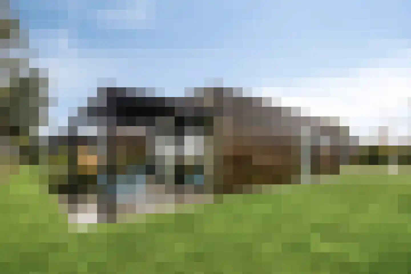 Zuideruitweg 68 sp33 Wijdenes thumbnail 24