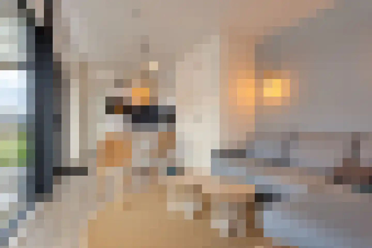 Zuideruitweg 68 sp49 Wijdenes thumbnail 5