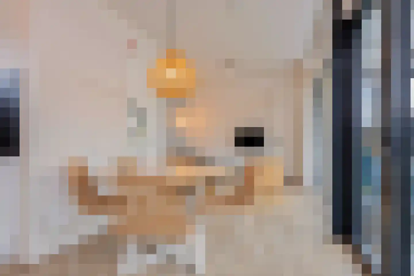 Zuideruitweg 68 sp49 Wijdenes thumbnail 8