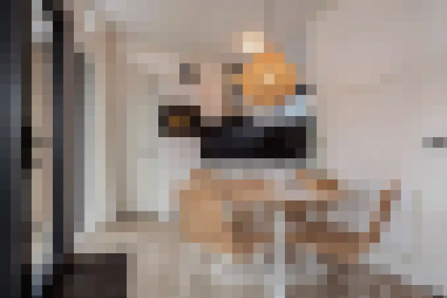 Zuideruitweg 68 sp49 Wijdenes thumbnail 9