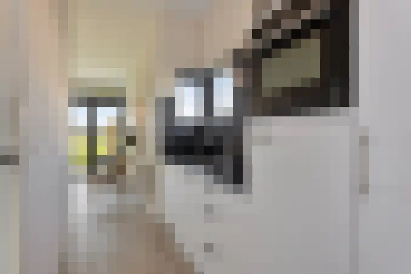 Zuideruitweg 68 sp61 Wijdenes thumbnail 11