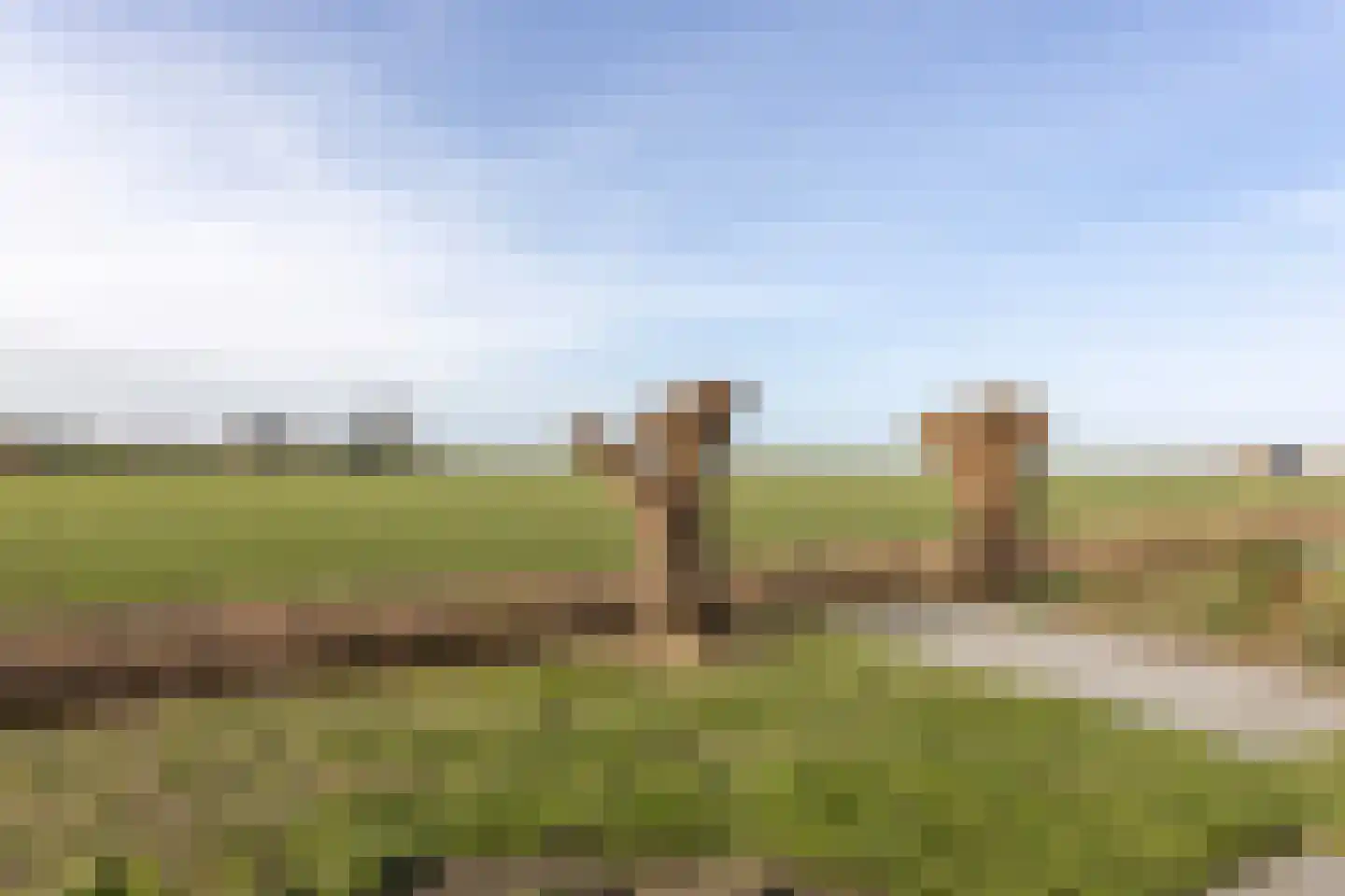 Zuideruitweg 68 sp61 Wijdenes thumbnail 24