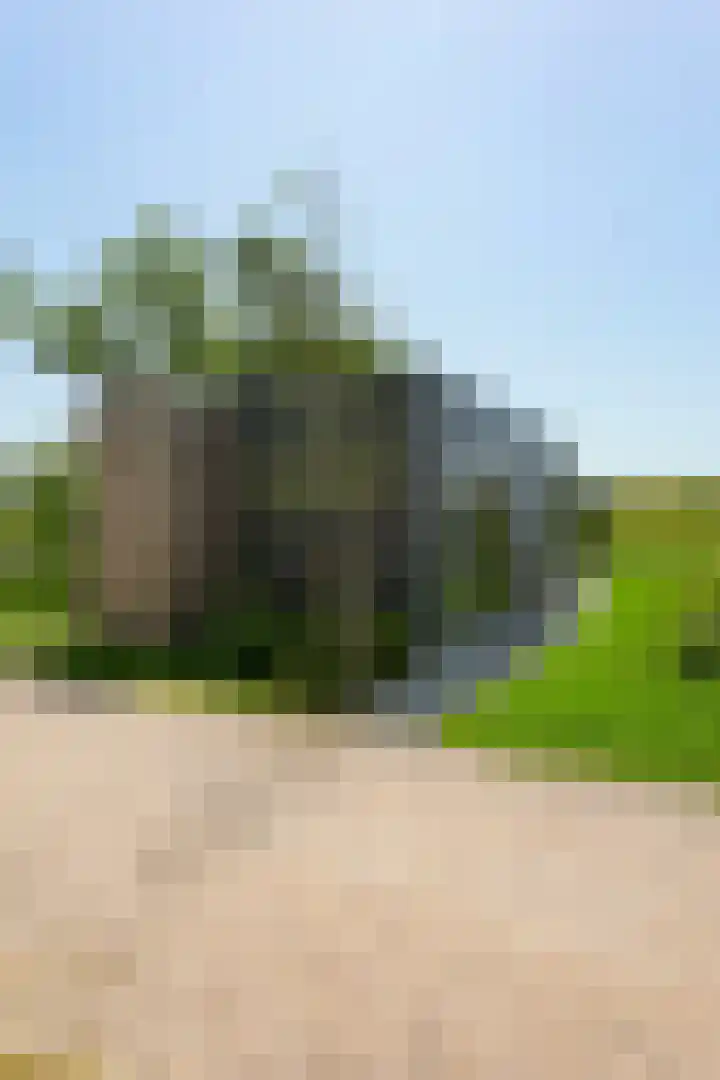 Zuideruitweg 68 sp72 Wijdenes thumbnail 21