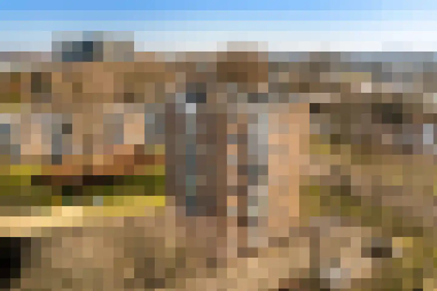 Zuidervaart 110 Zaandam thumbnail 5