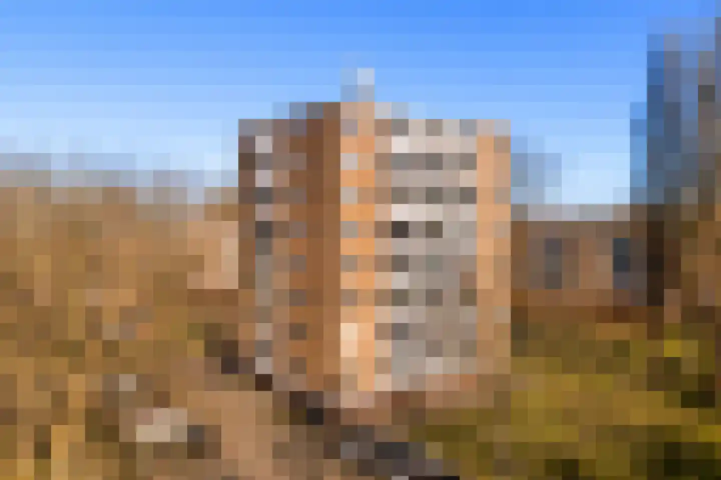 Zuidervaart 110 Zaandam thumbnail 6