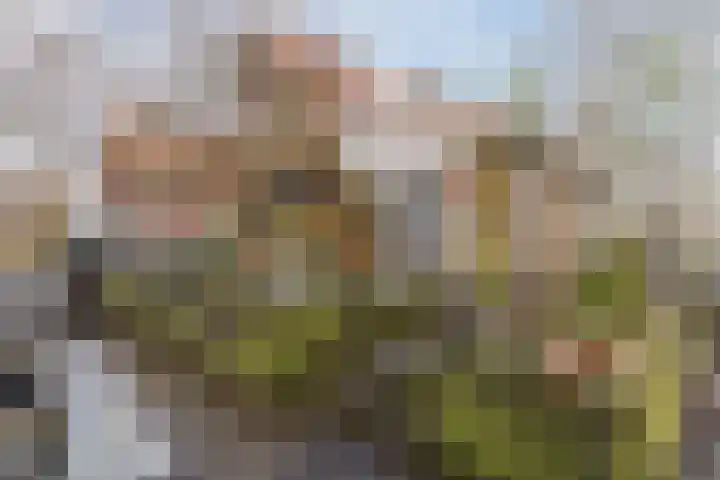 Zuidervaart 137 Zuidschermer thumbnail 35