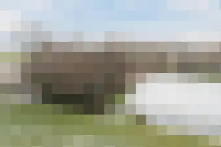 Zuidervaart 137 Zuidschermer thumbnail 37