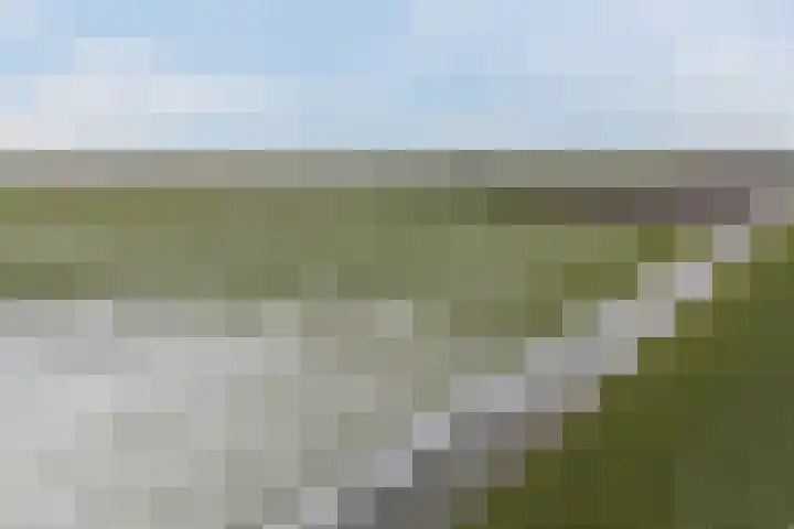 Zuidervaart 137 Zuidschermer thumbnail 38