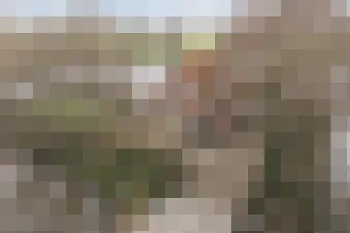 Zuidervaart 137 Zuidschermer thumbnail 7