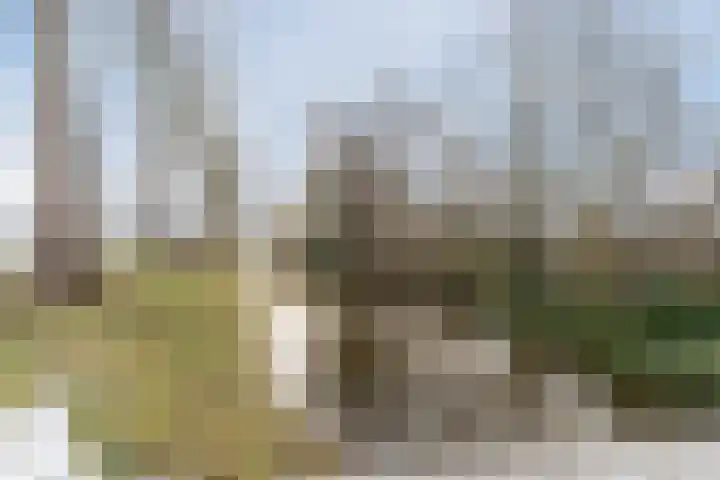 Zuidervaart 137 Zuidschermer thumbnail 8