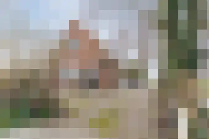 Zuidervaart 137 Zuidschermer thumbnail 9
