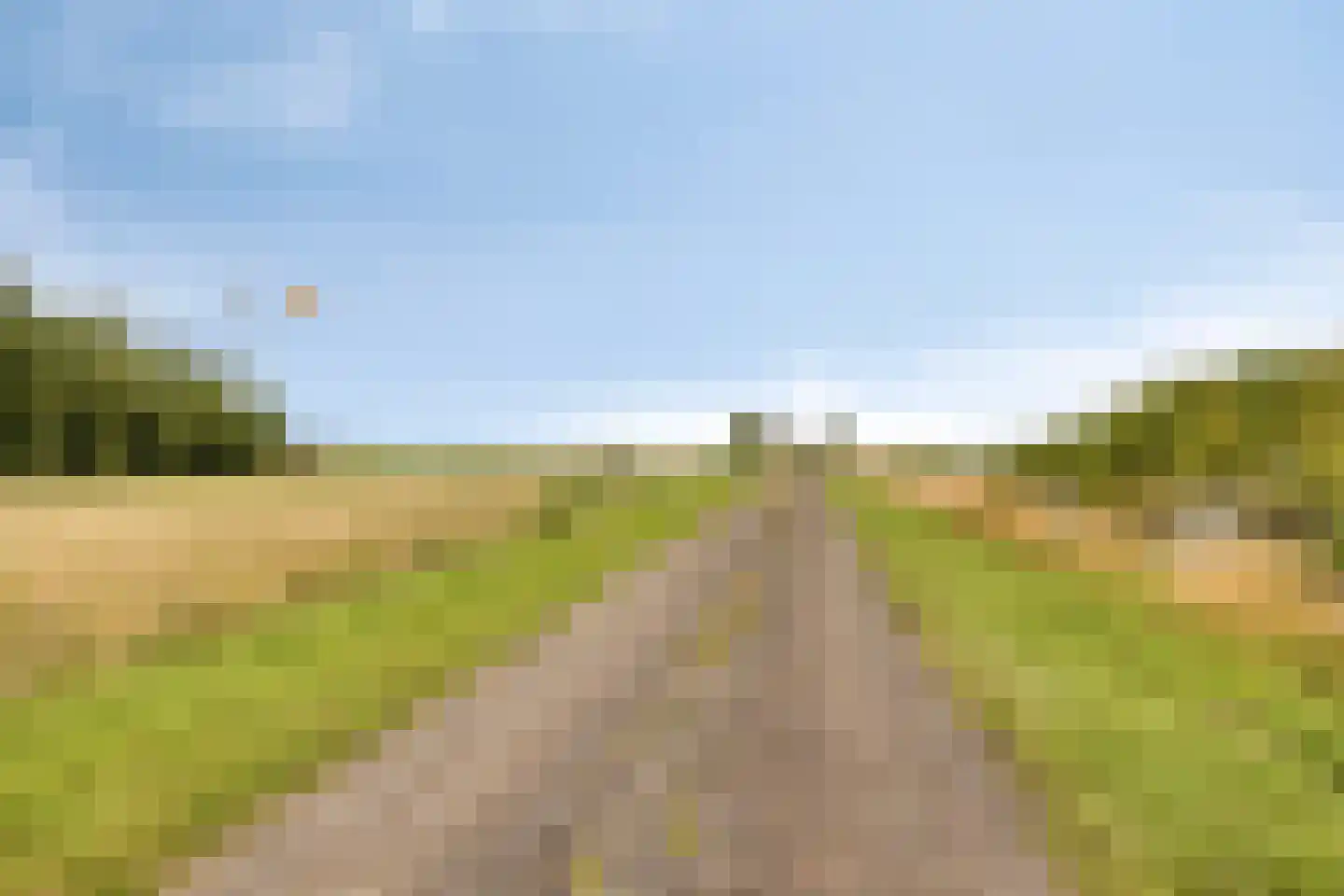 Zuidervaart 40 Zuidschermer thumbnail 18