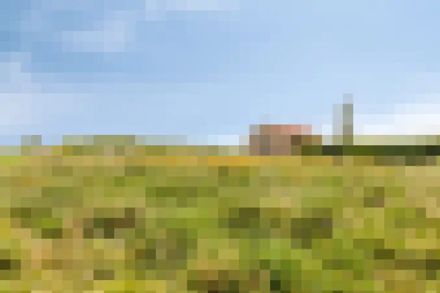 Zuidervaart 40 Zuidschermer thumbnail 24