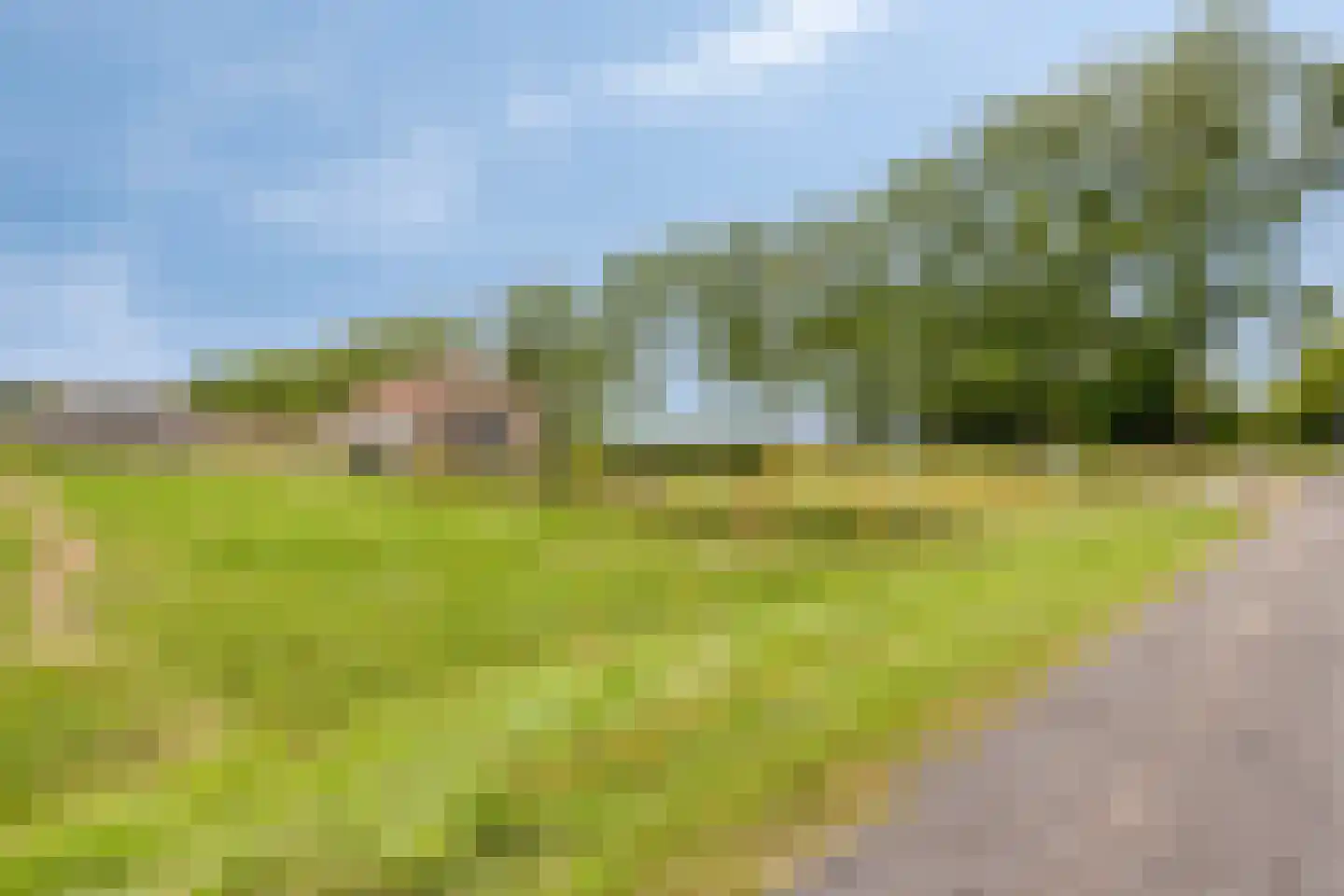 Zuidervaart 40 Zuidschermer thumbnail 26