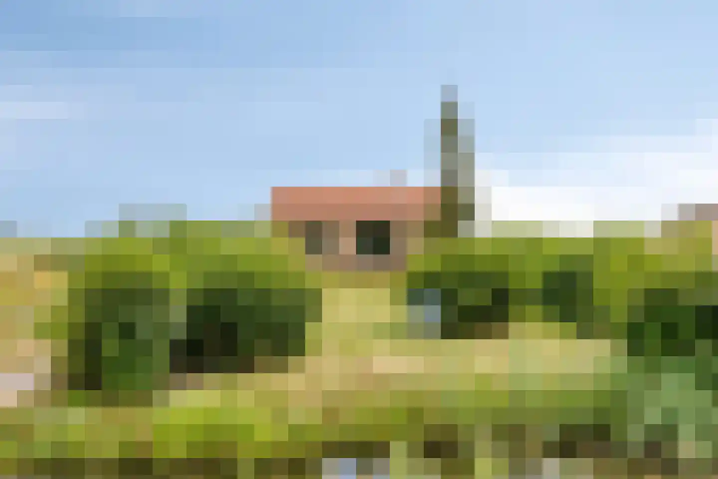 Zuidervaart 40 Zuidschermer thumbnail 29