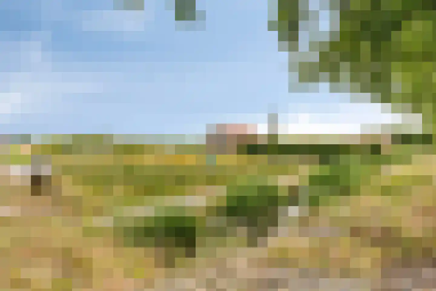 Zuidervaart 40 Zuidschermer thumbnail 30
