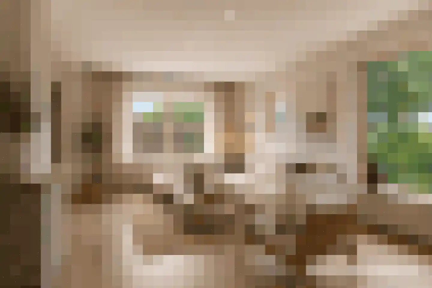 Zuidervaart 40 Zuidschermer thumbnail 4