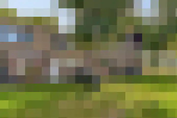 Zuidervaart 68 Zaandam thumbnail 31