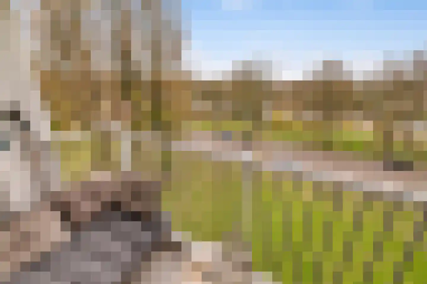 Zuidervaart 93 Zaandam thumbnail 11