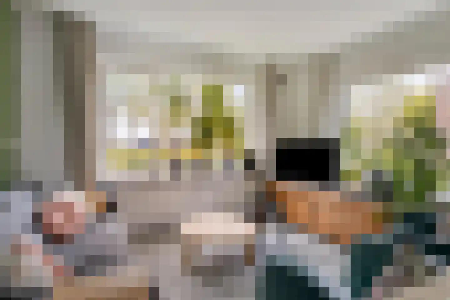 Zuidervaart 99 Zuidschermer thumbnail 10