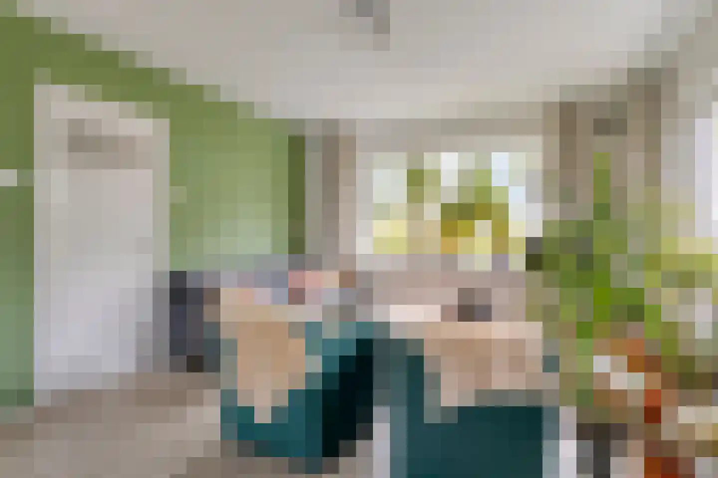 Zuidervaart 99 Zuidschermer thumbnail 11