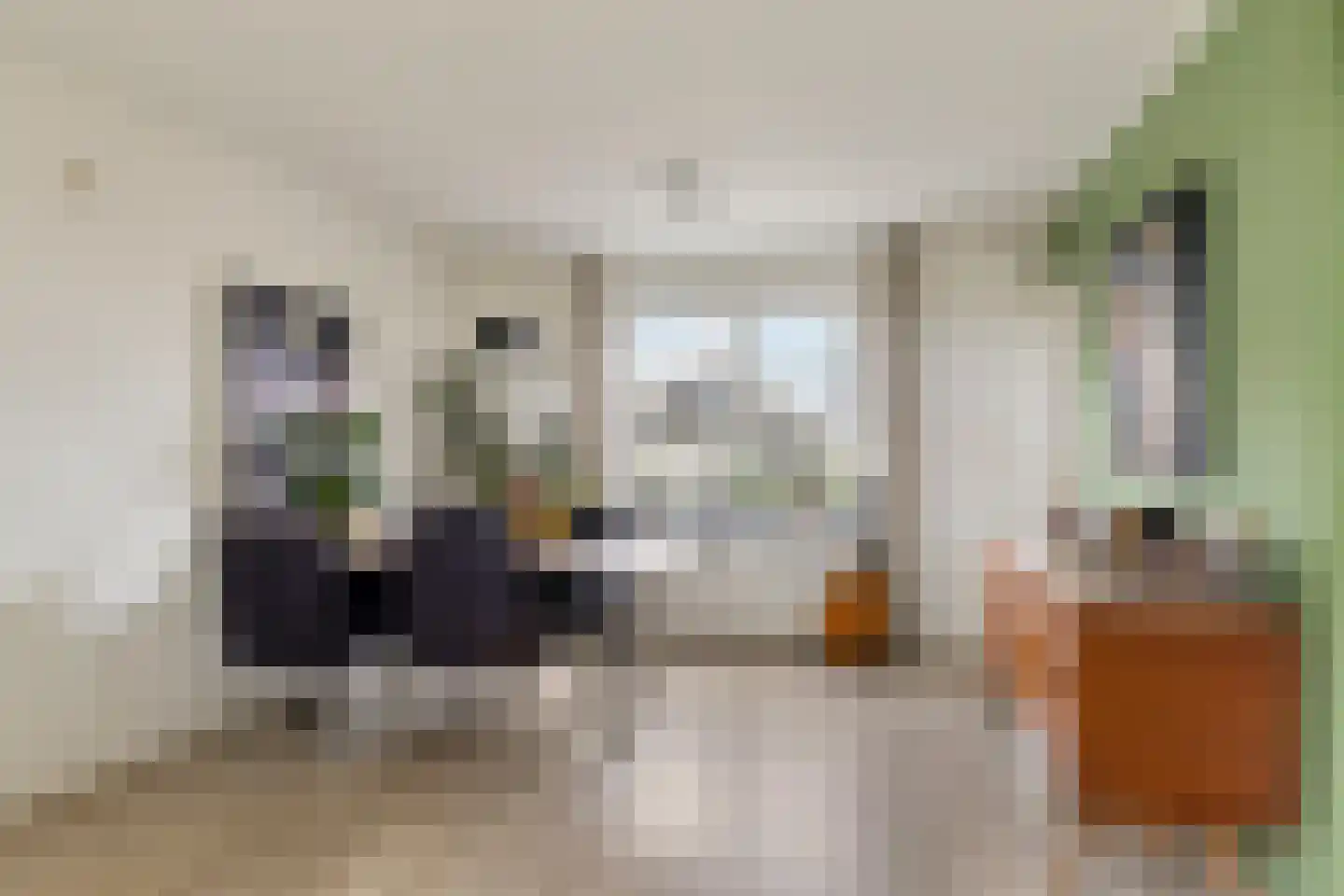 Zuidervaart 99 Zuidschermer thumbnail 13