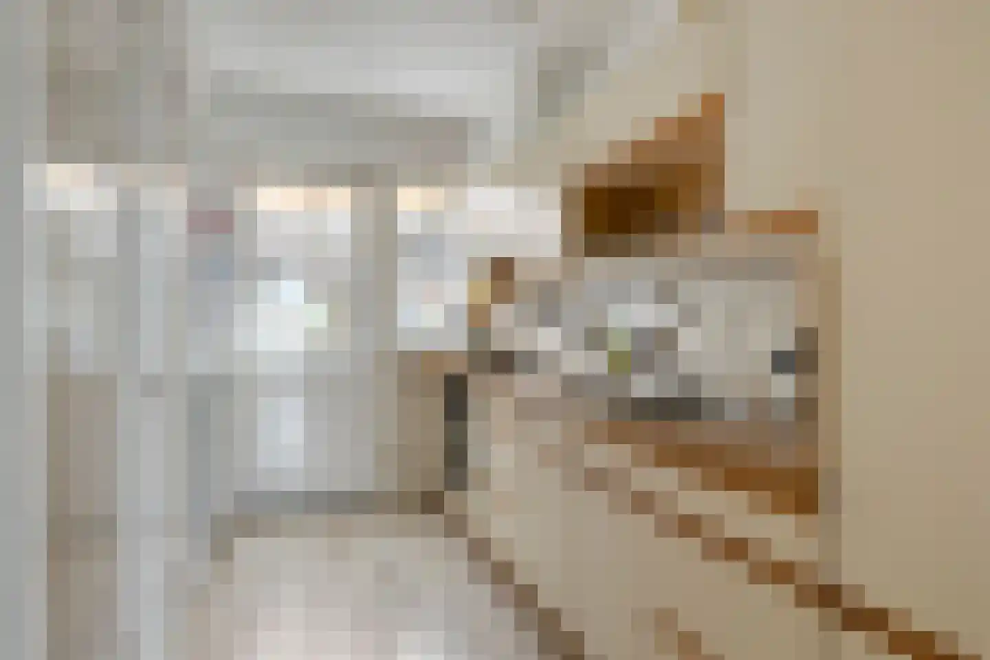 Zuidervaart 99 Zuidschermer thumbnail 15