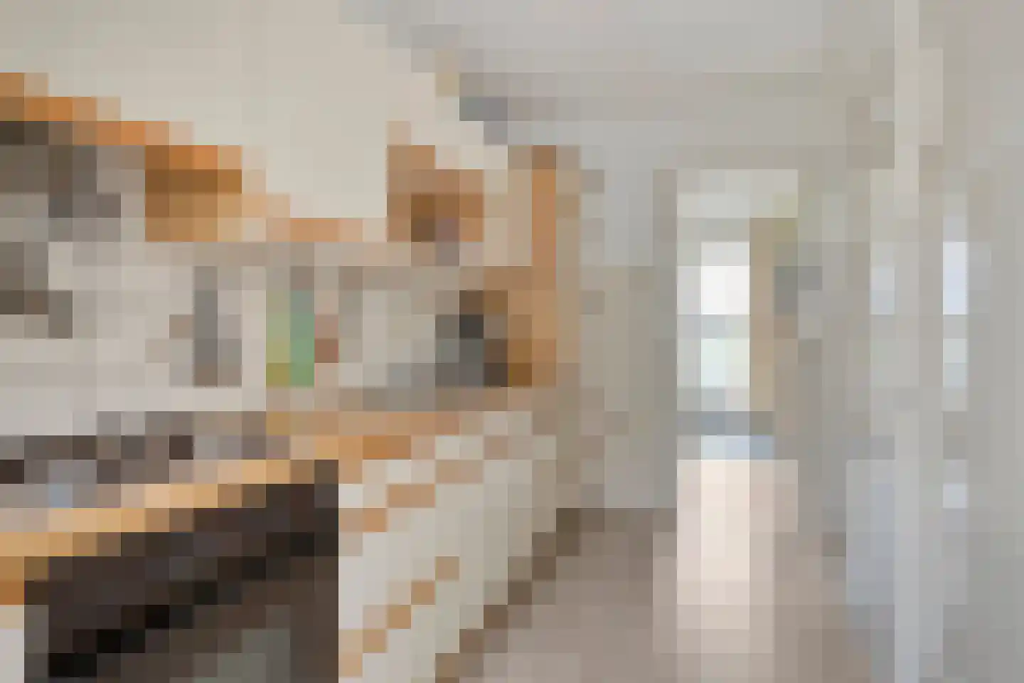 Zuidervaart 99 Zuidschermer thumbnail 16