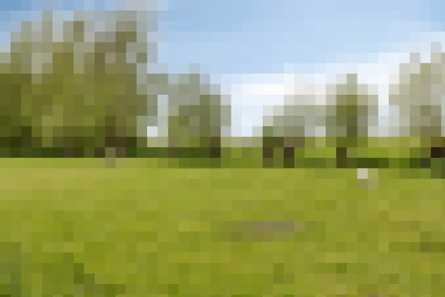 Zuidervaart 99 Zuidschermer thumbnail 32