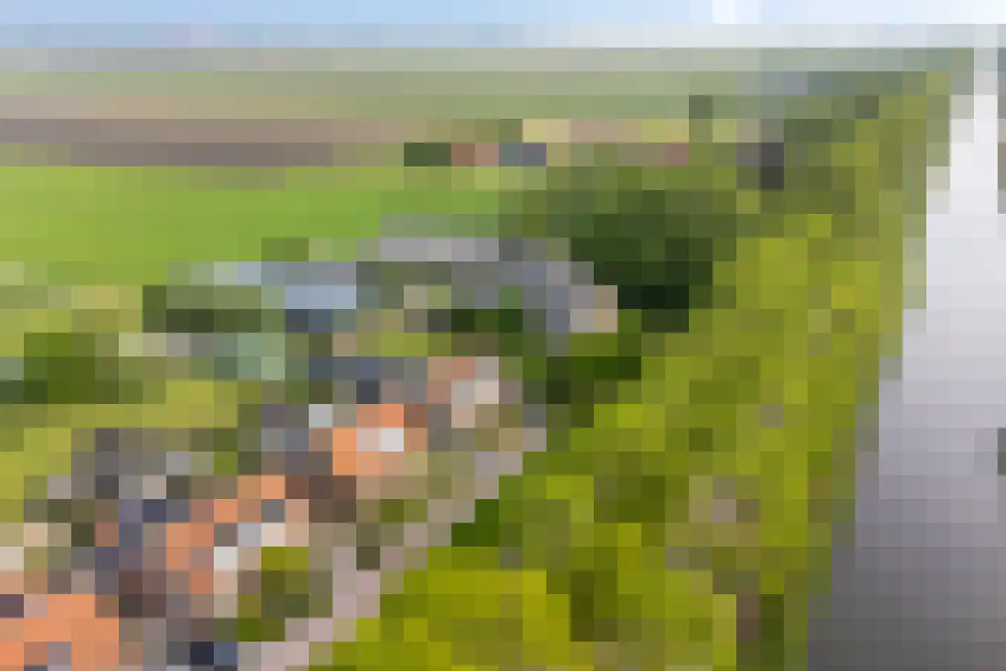 Zuidervaart 99 Zuidschermer thumbnail 38