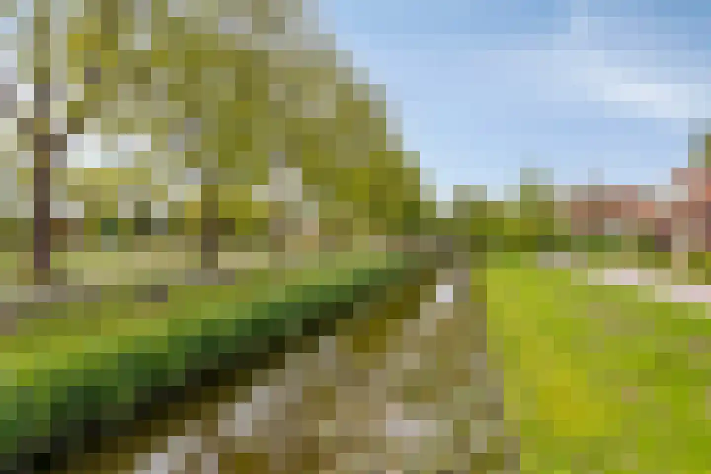 Zuidervaart 99 Zuidschermer thumbnail 39