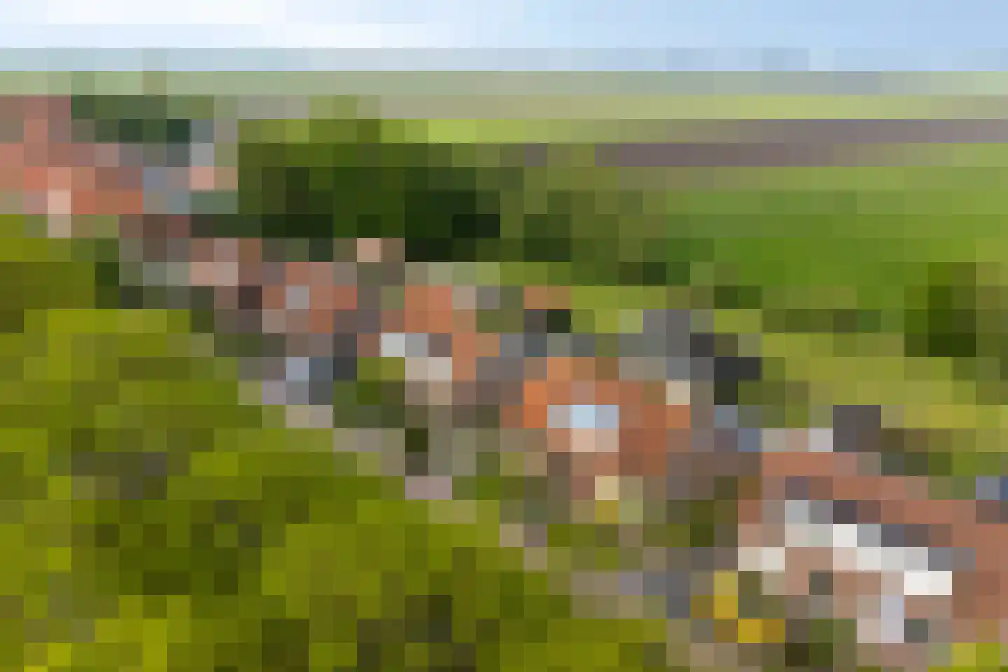 Zuidervaart 99 Zuidschermer thumbnail 43