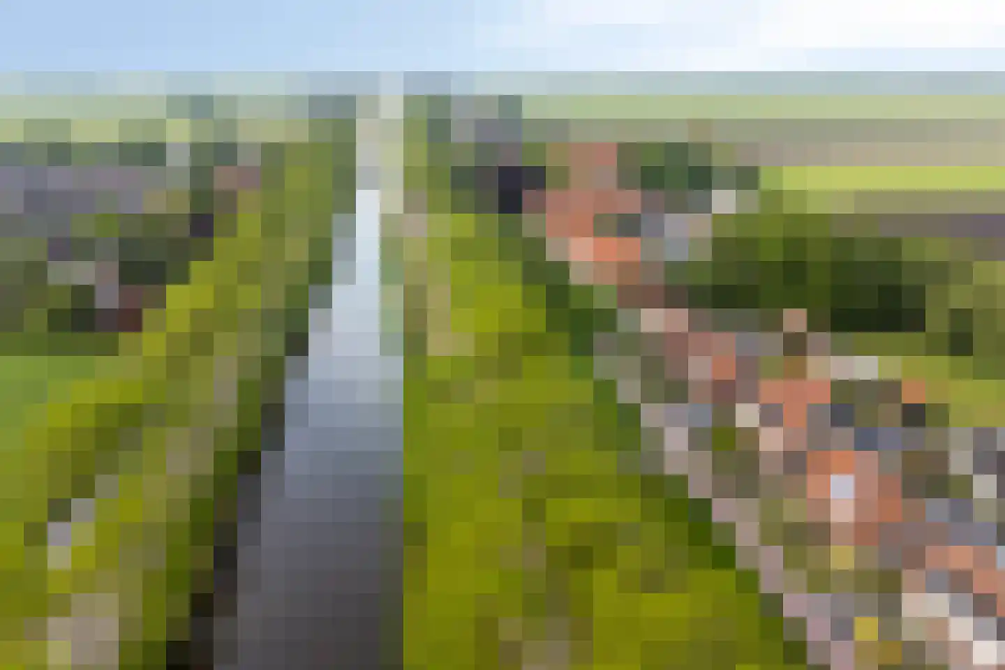 Zuidervaart 99 Zuidschermer thumbnail 44