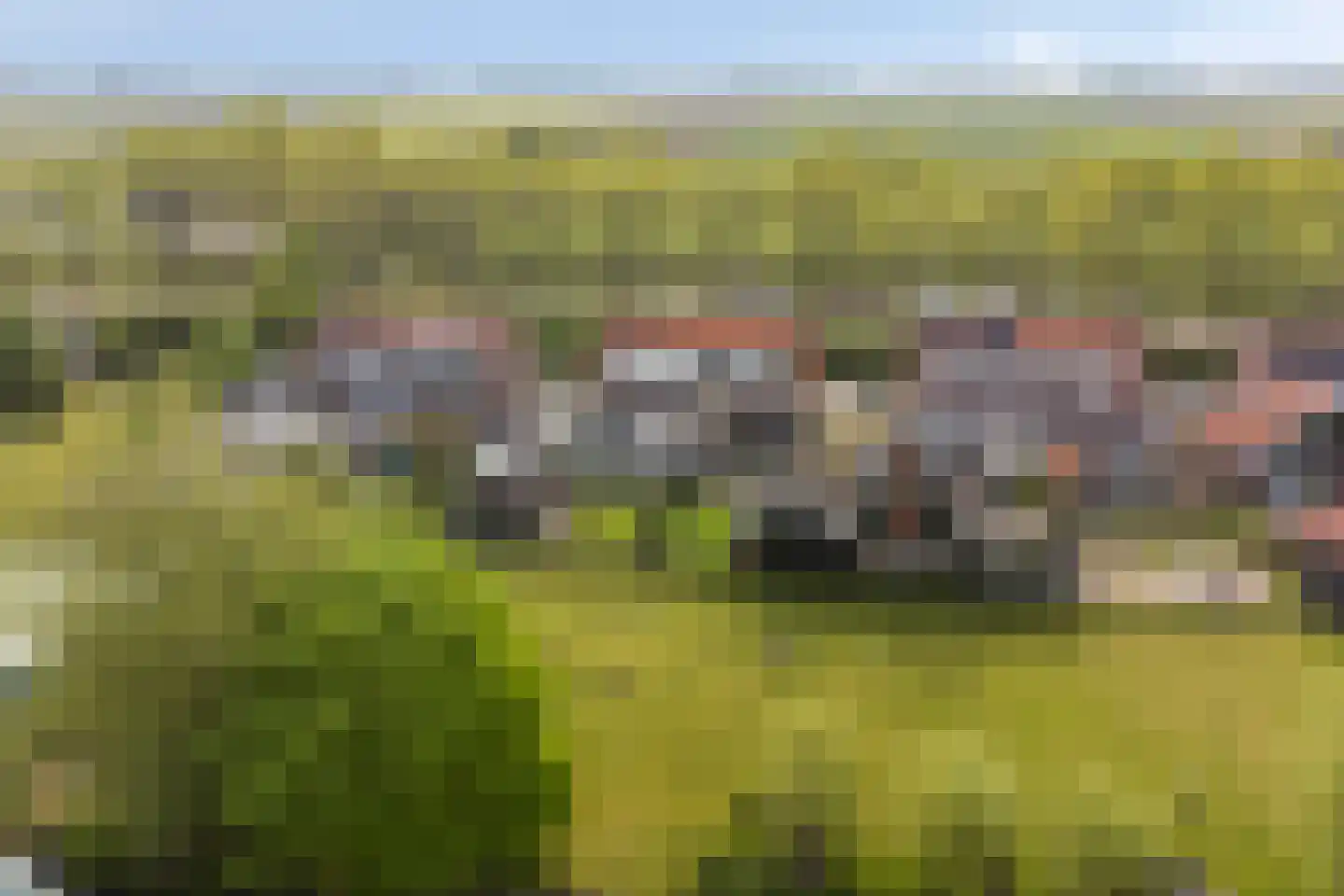 Zuidervaart 99 Zuidschermer thumbnail 46