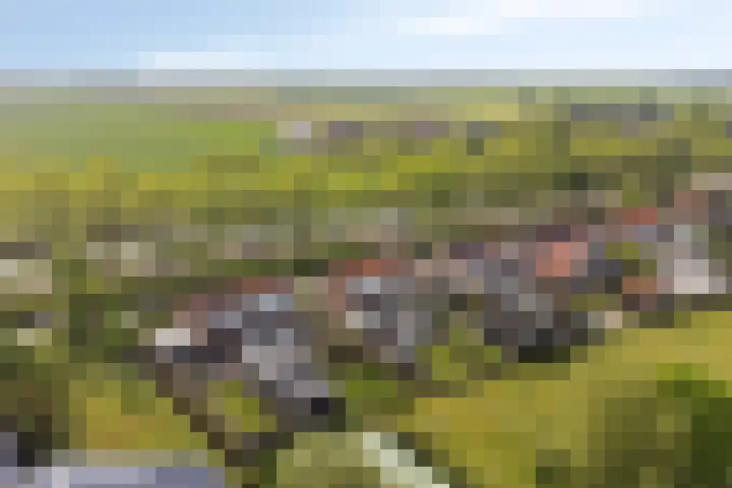 Zuidervaart 99 Zuidschermer thumbnail 47