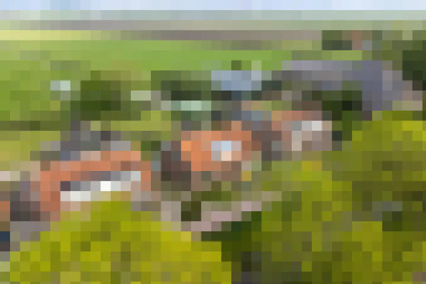 Zuidervaart 99 Zuidschermer thumbnail 6