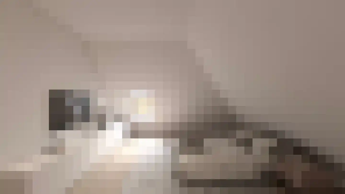Zuidervaart Zuidschermer thumbnail 4