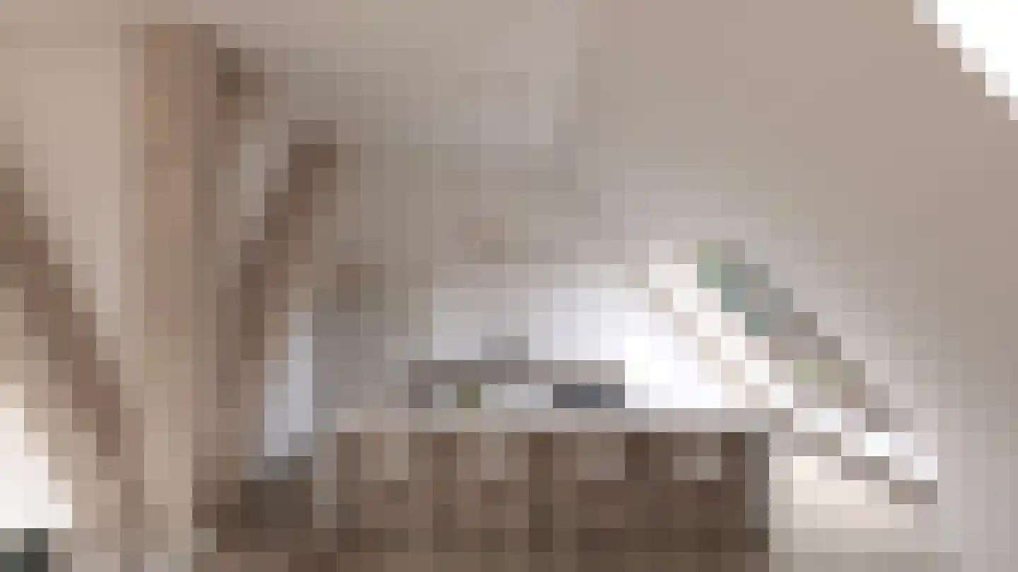Zuidervaart Zuidschermer thumbnail 4