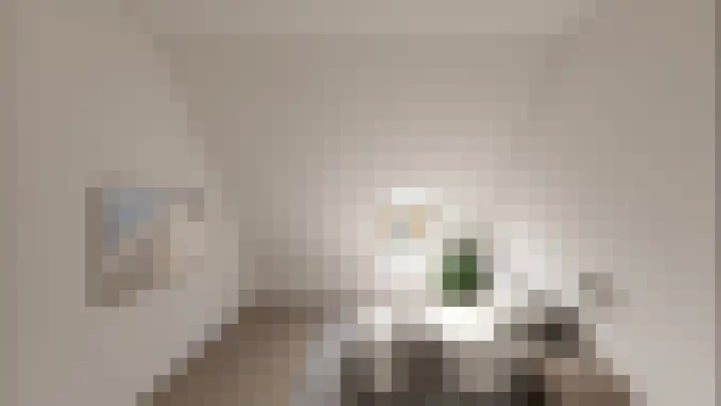 Zuidervaart Zuidschermer thumbnail 5