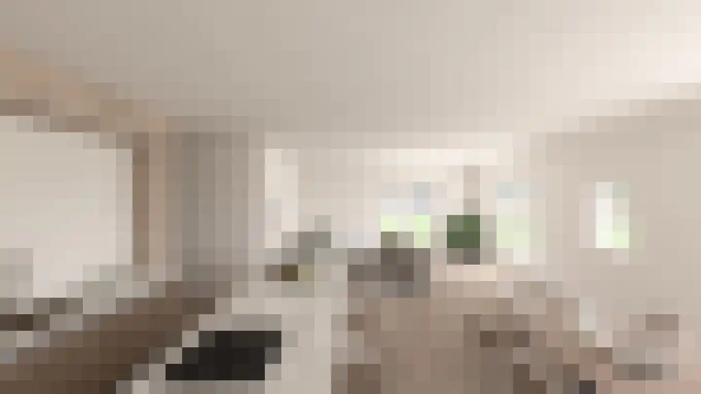 Zuidervaart Zuidschermer thumbnail 5