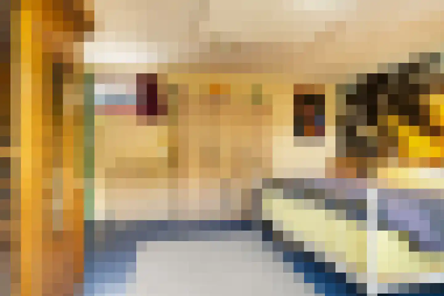 Zuidervaartdijk 112 ROOD Krommenie thumbnail 32