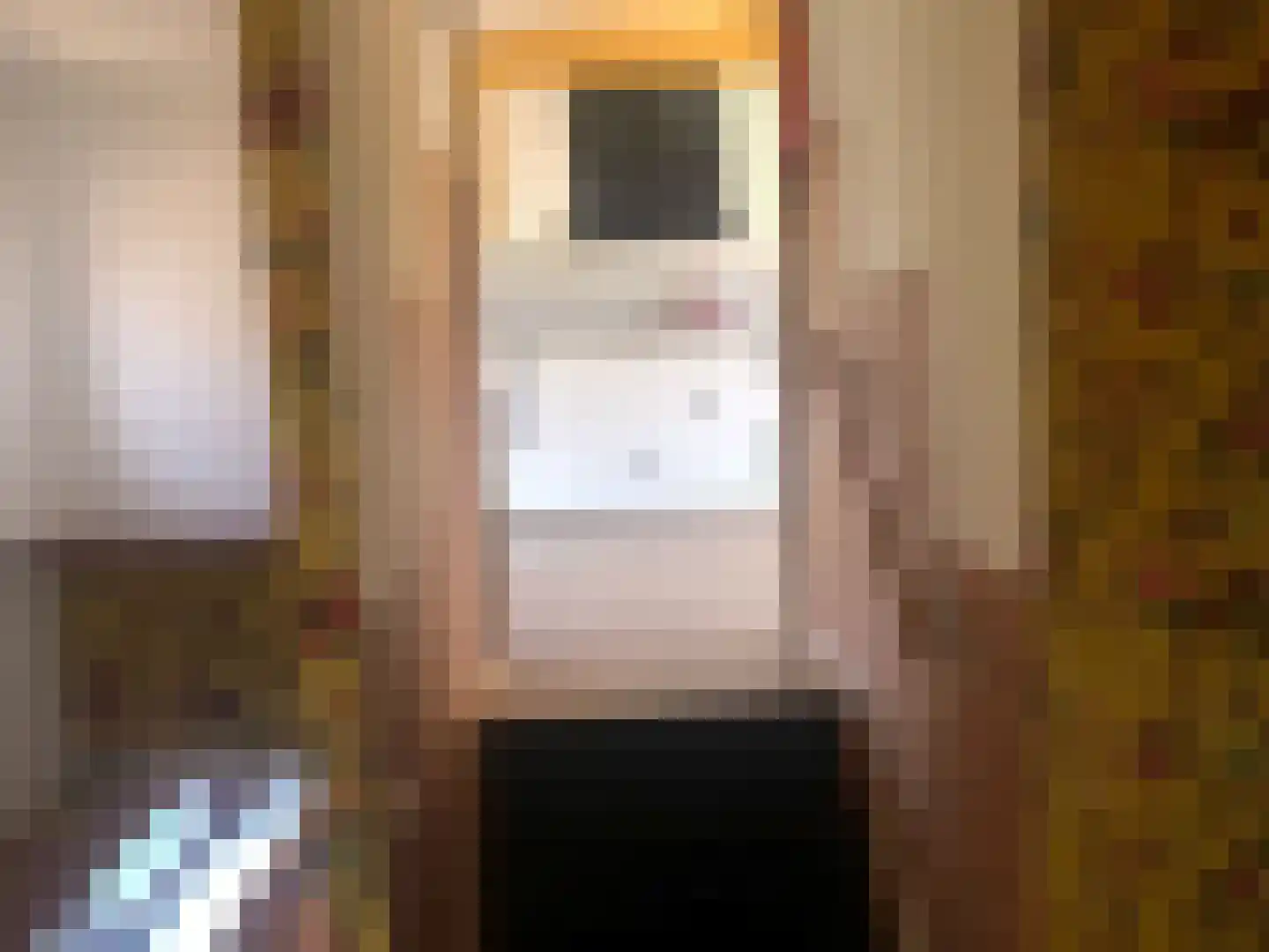 Zuidervaartdijk 112 ROOD Krommenie thumbnail 41