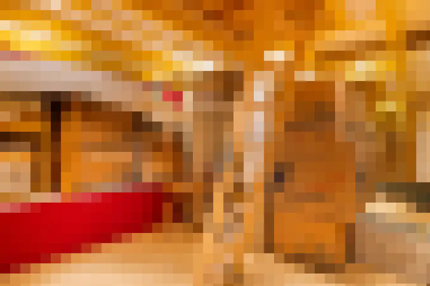 Zuidervaartdijk 112 ROOD Krommenie thumbnail 56